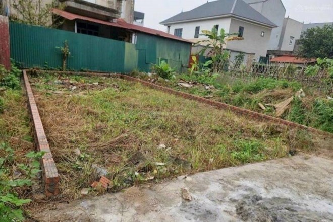 Nhà đầu tư F0 ưa chuộng đất nền tách thửa nhỏ nhờ vốn thấp, dễ tiếp cận