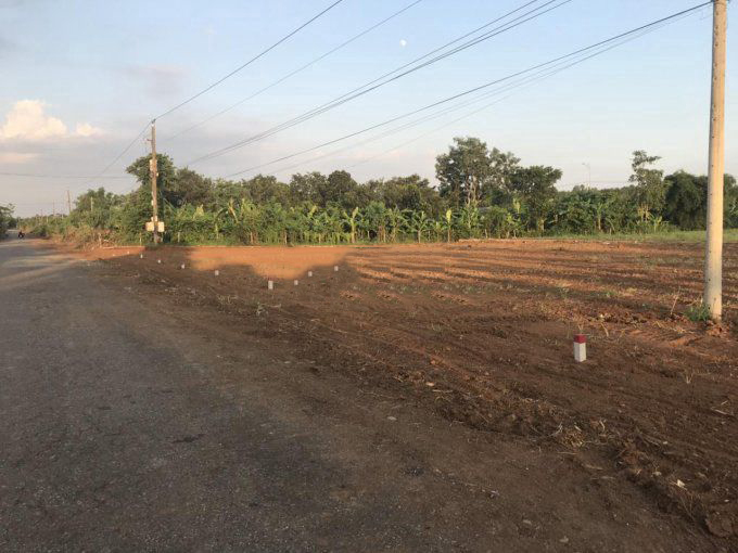 Một số lô đất nông nghiệp