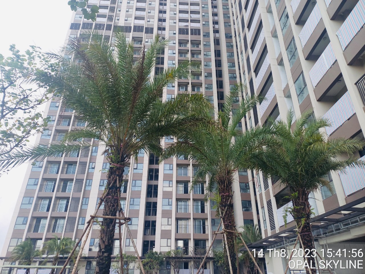 Tiến độ xây dựng Opal Skyline