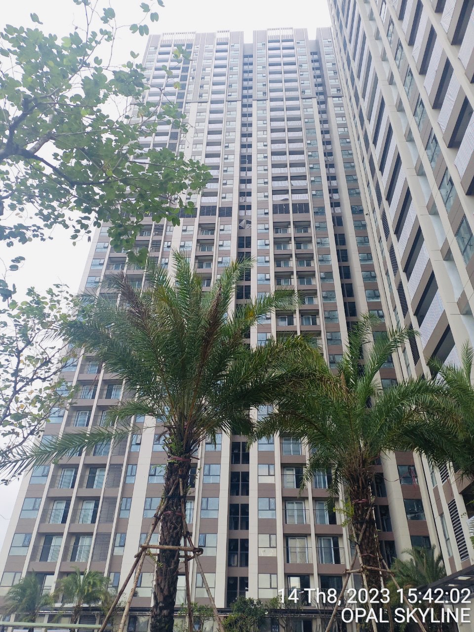 Tiến độ xây dựng Opal Skyline