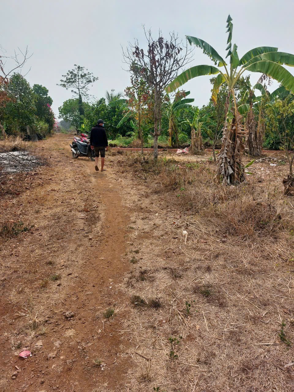 Đất nông nghiệp phường Hắc Dịch