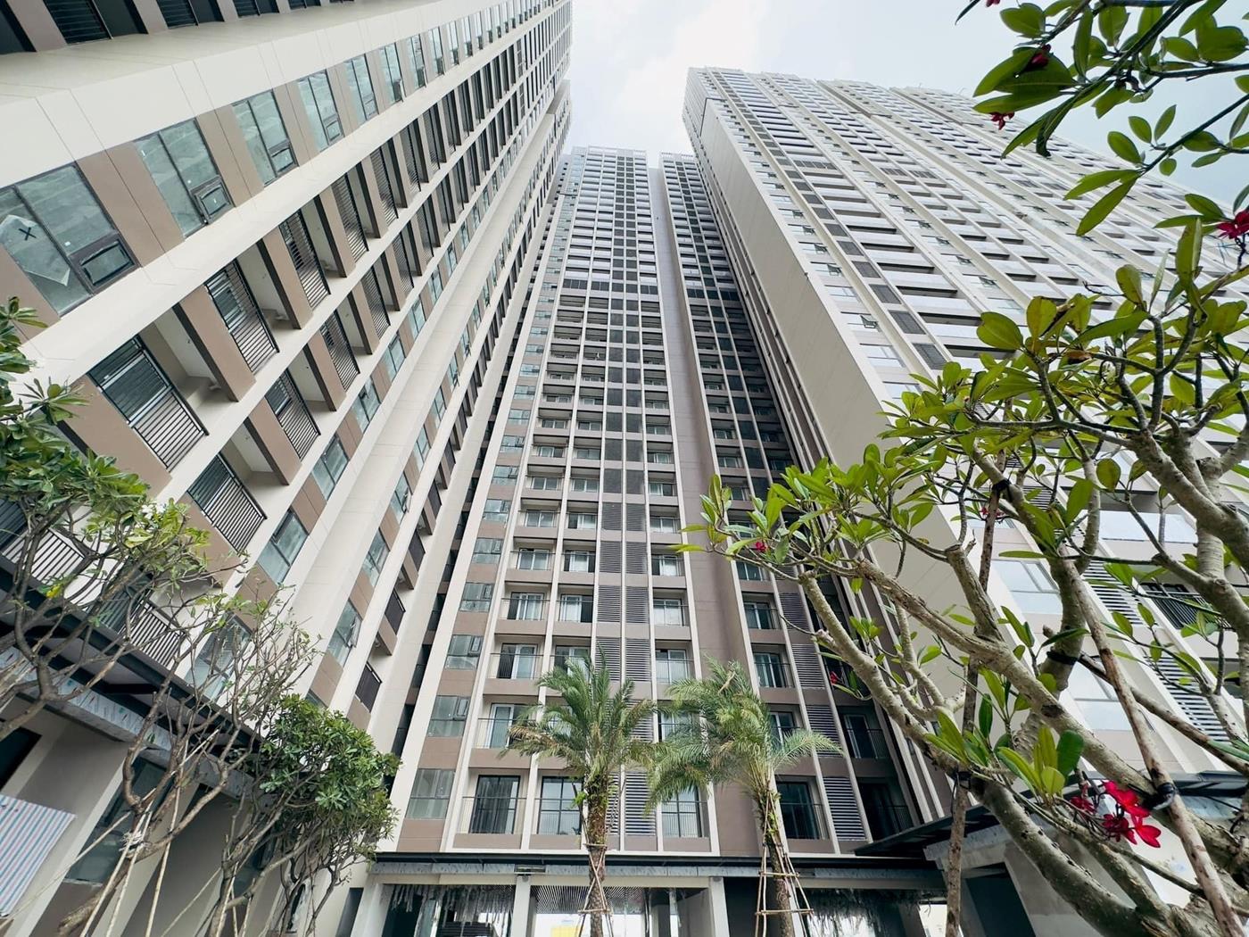 Hình toàn cảnh thực tế Opal Skyline