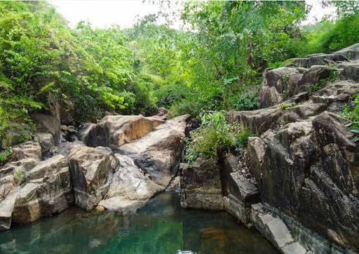 Khu sinh thái núi Dinh