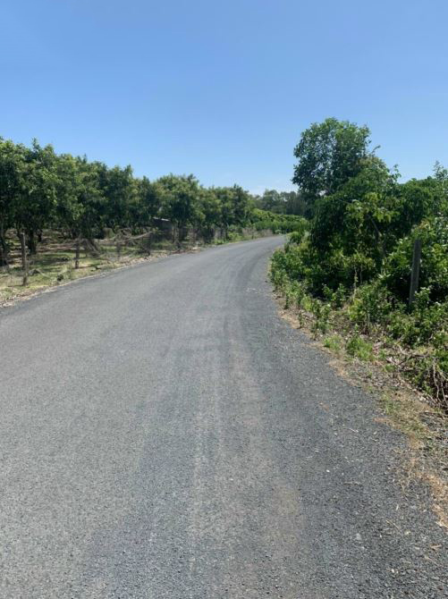 Tiềm năng đất sào mẫu Bà Rịa