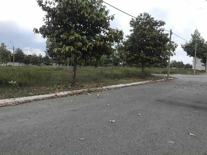 Hình ảnh thực tế khu dân cư